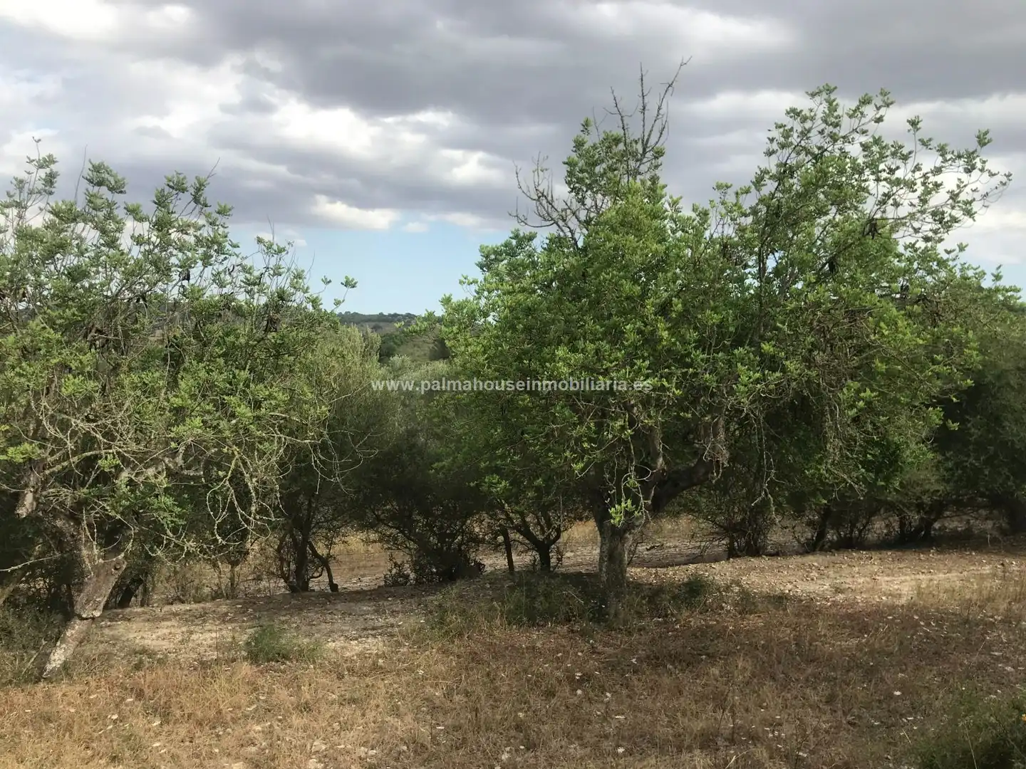 Finca rústica en venta en Maria de la Salut con Calefacción y Terraza