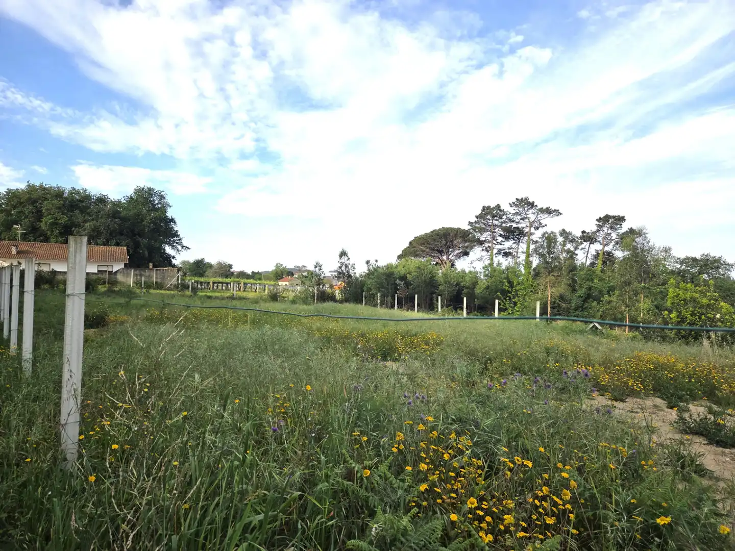 Residencial en venta en Sanxenxo