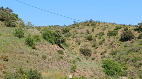 Terreno Rústico en Carratraca, immagine 2