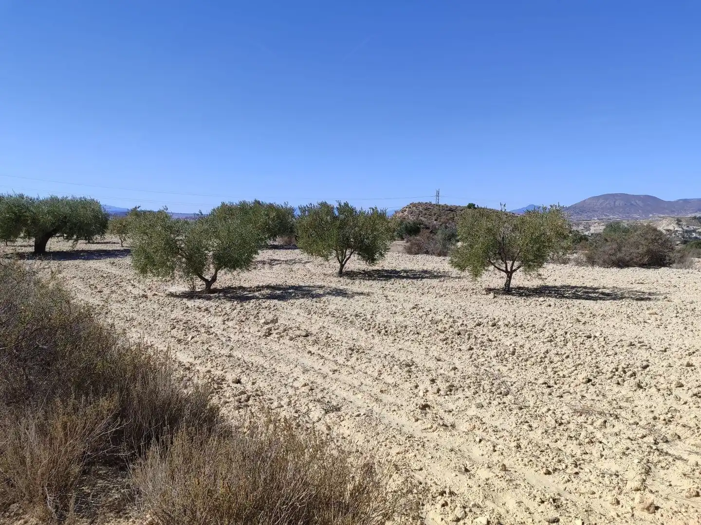 Lands and plots for sale in Abanilla, imagen 14