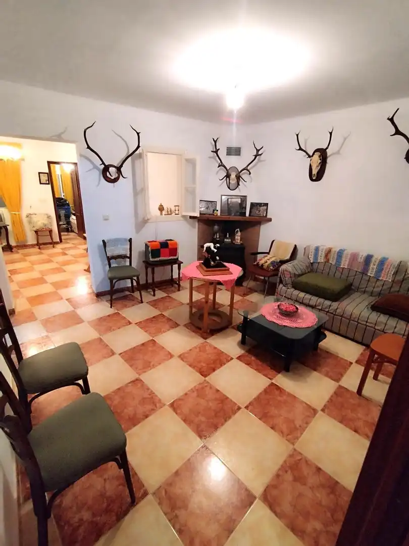 Sala de estar de Casa o chalet en venta en El Ronquillo