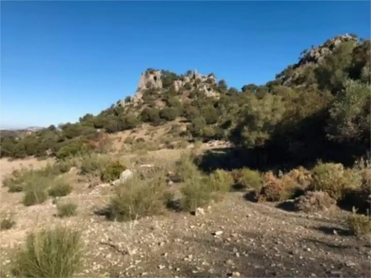 Finca rústica en venda en Algodonales