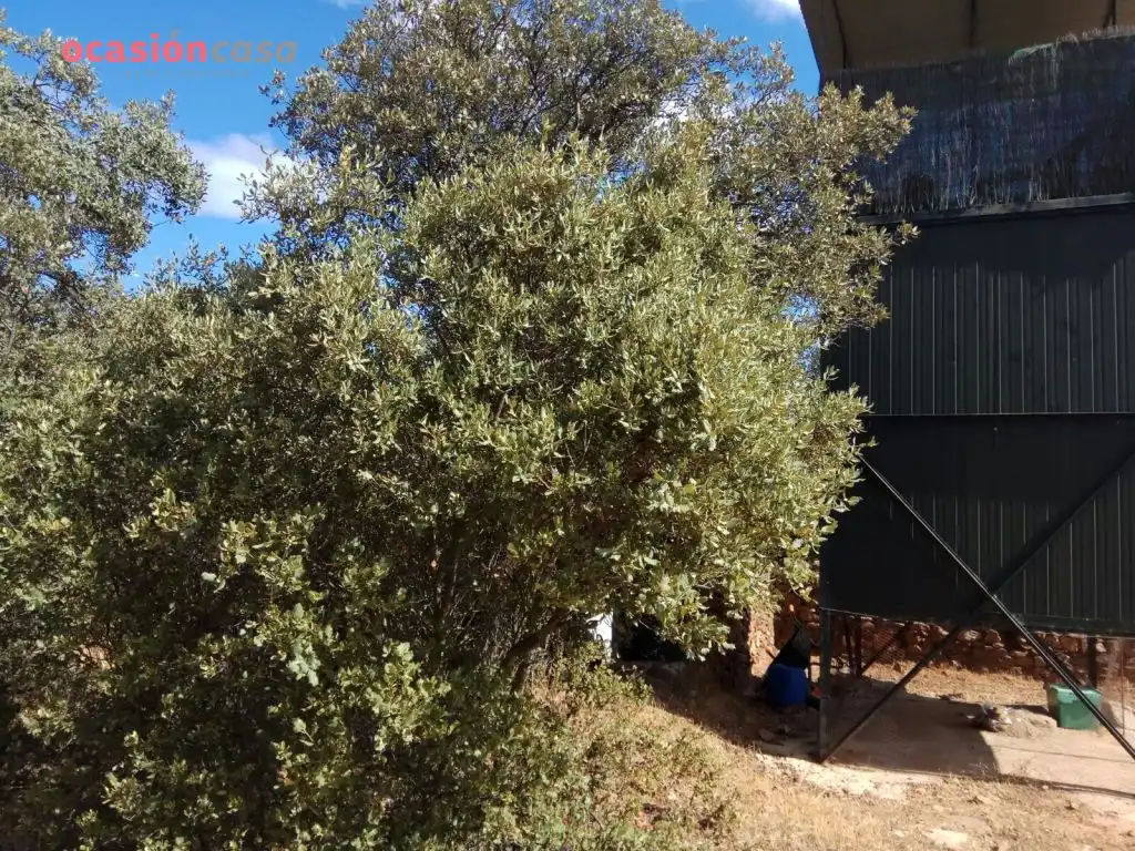 Finca rústica en venta en Villanueva del Duque