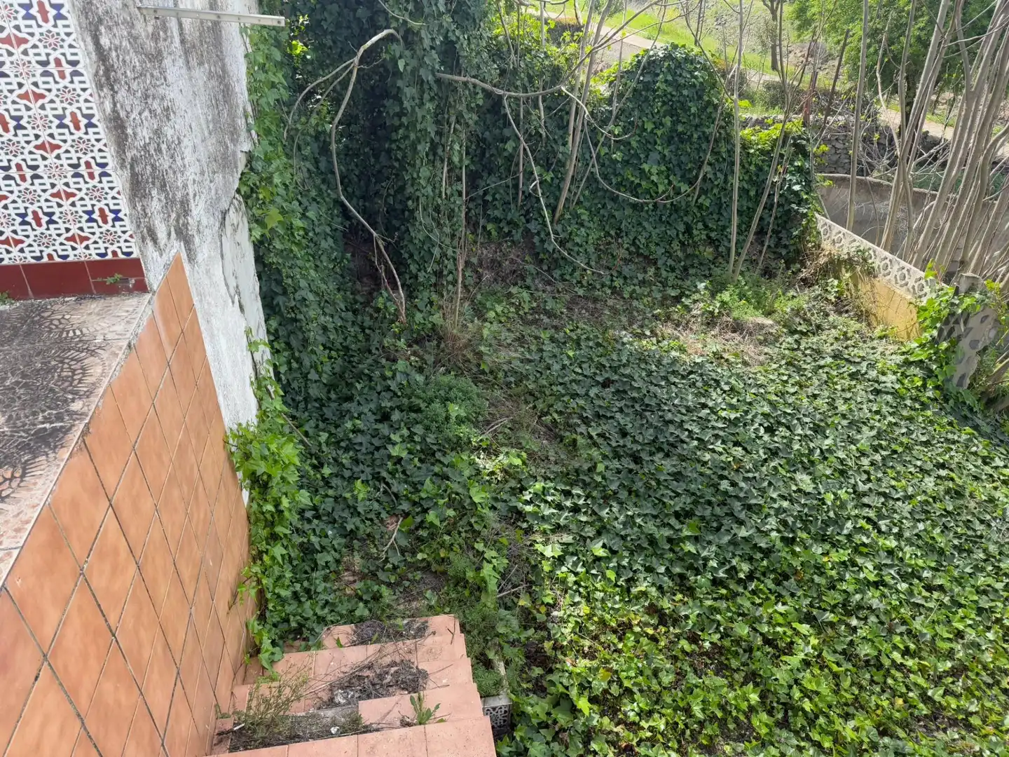 Detached homes for sale in Almendral