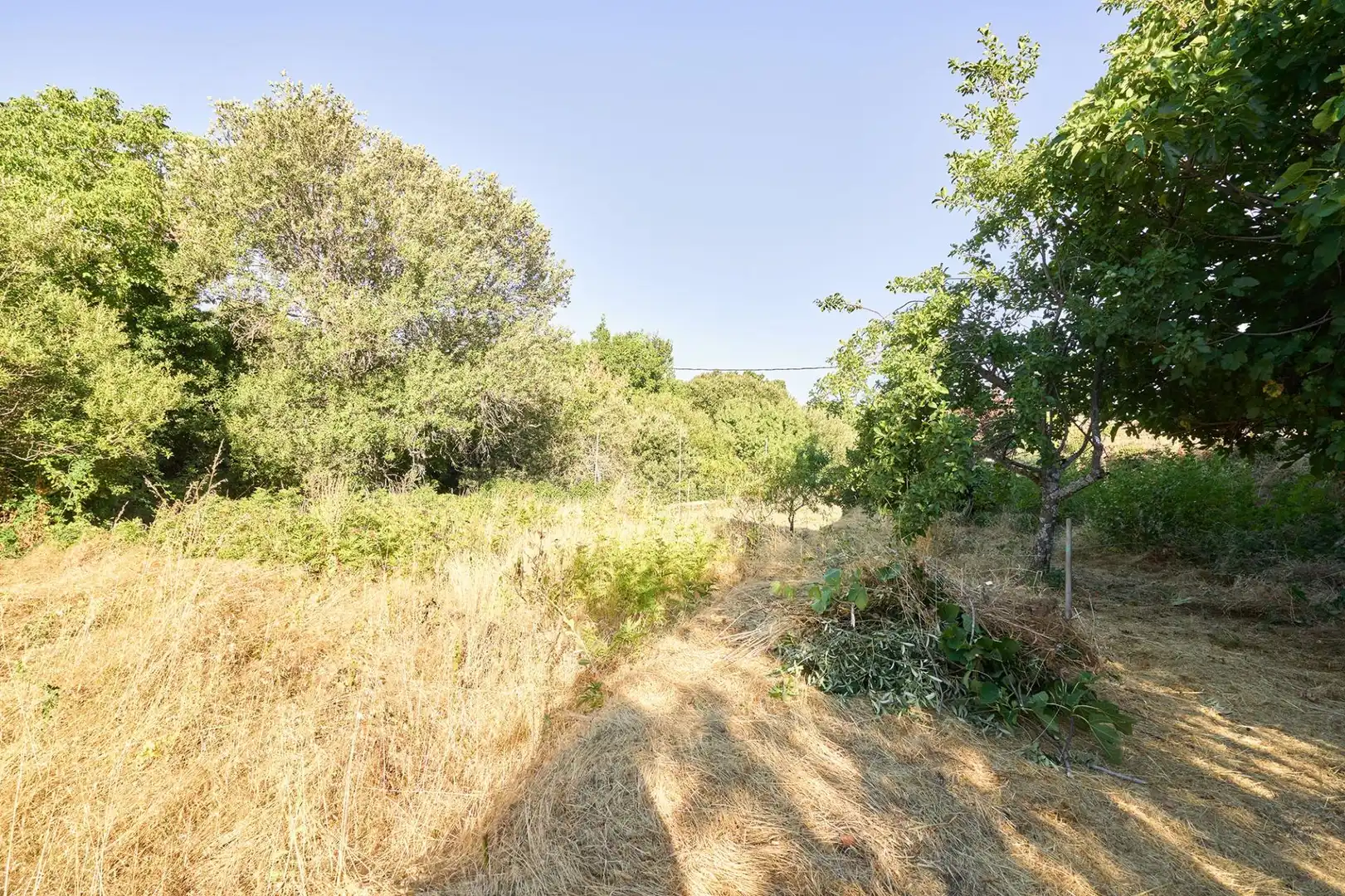 Casa o xalet en venda en Navacarros amb Jardí privat i Piscina
