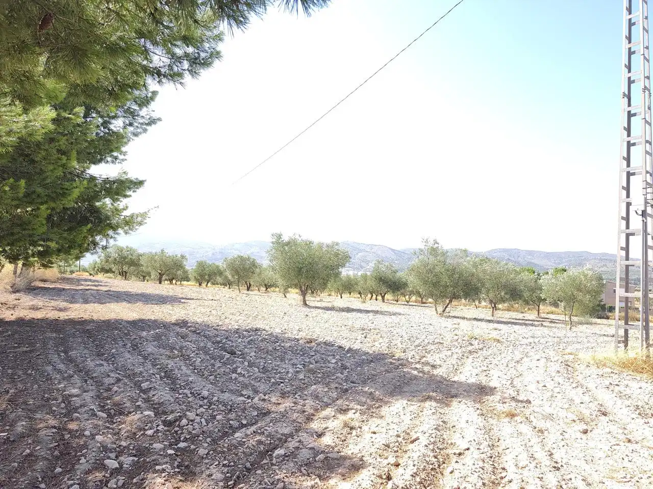 Terreno rustico in vendita a Castalla, imagen 34