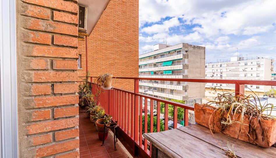 Foto 1 de Pis en venda a Madre de Dios, Cádiz