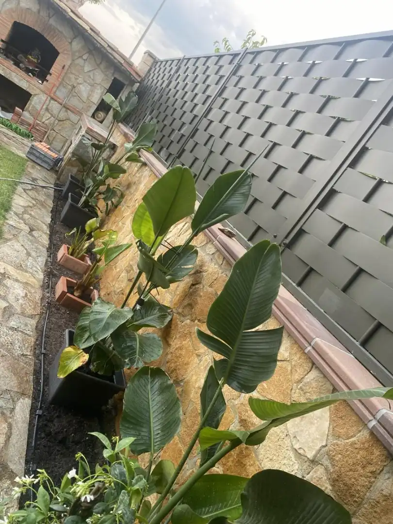 Außenansicht von Einfamilien-Reihenhaus zum Verkauf in Soria Capital  mit Heizung, Privatgarten und Terrasse