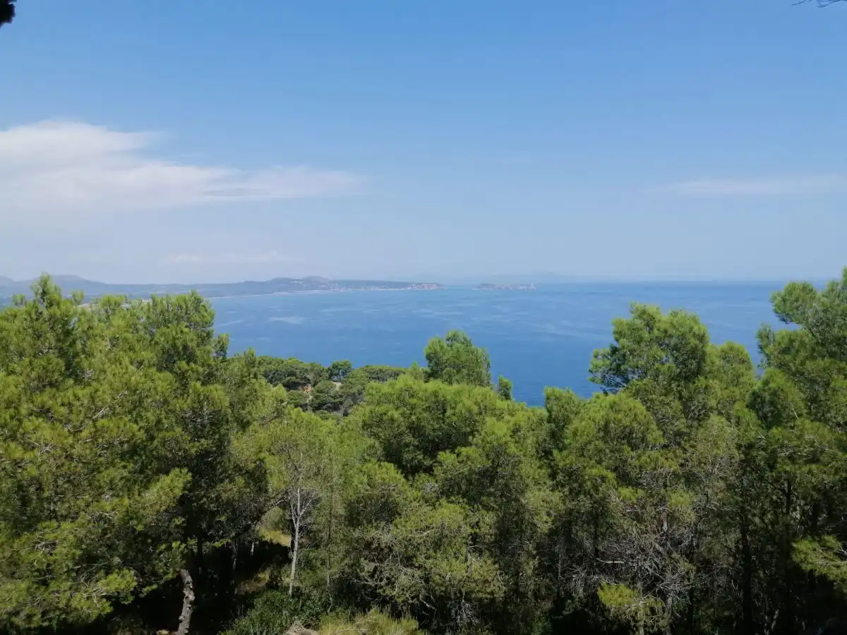 Grundstücke und Bauplätze zum Verkauf in Puig Rodo, imagen 5
