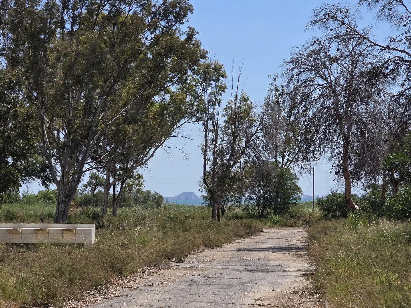 Terrenos y solares en venta en Mar Menor de Cartagena – Cabo de Palos, imagen 34