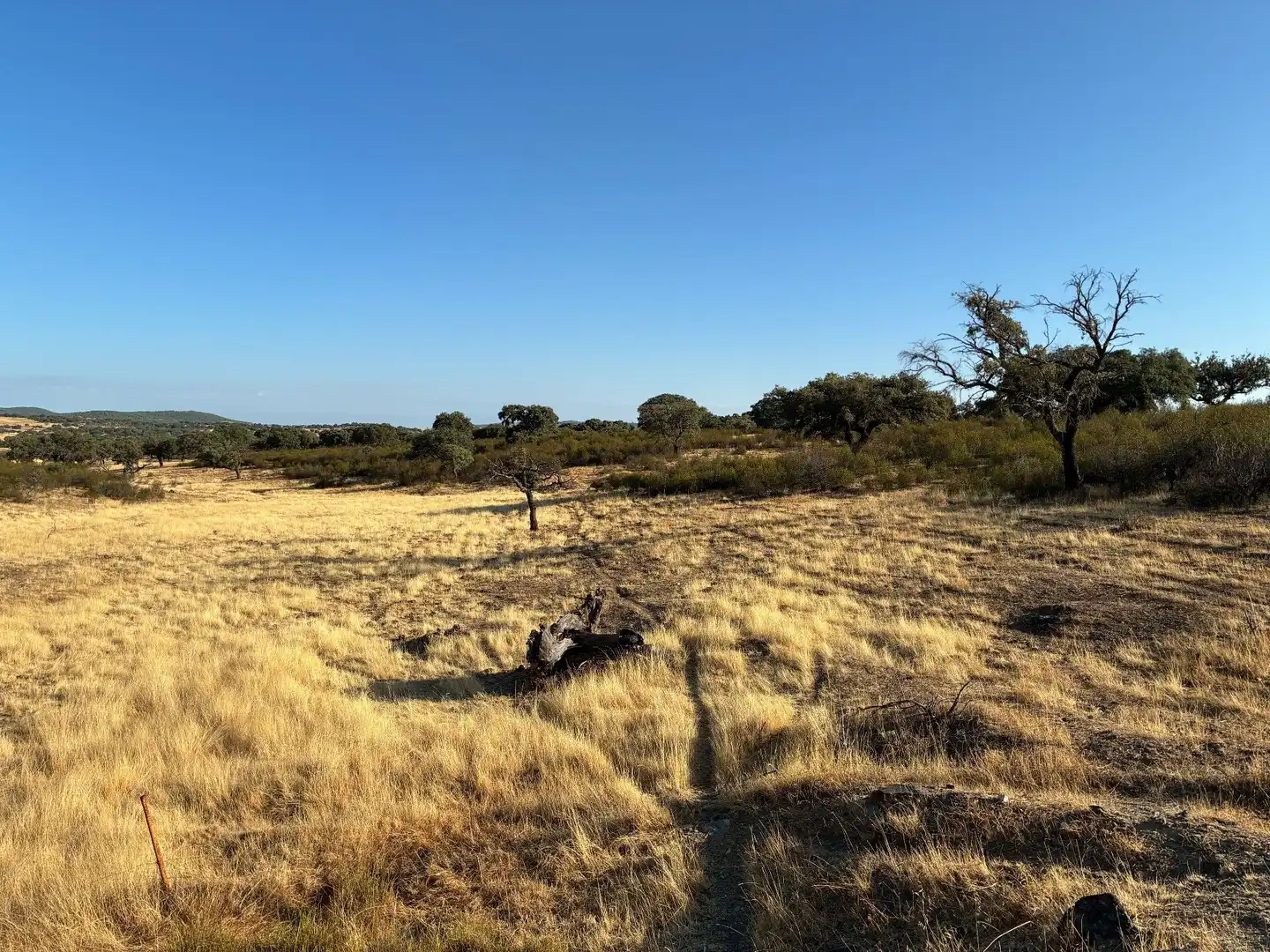 Rural land for sale in Puerto de San Vicente, imagen 14