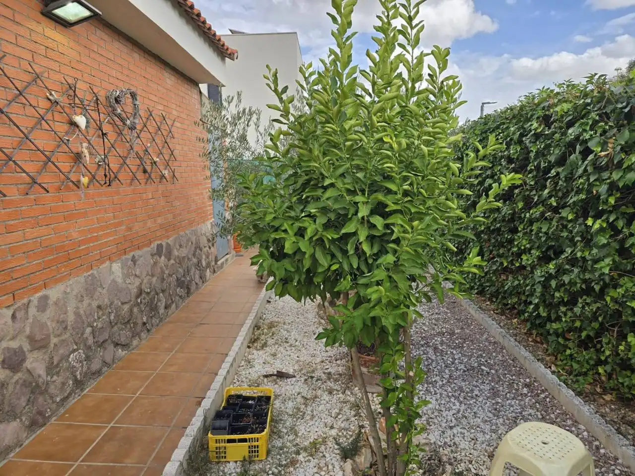 Villa con giardino in vendita a Pioz, imagen 13