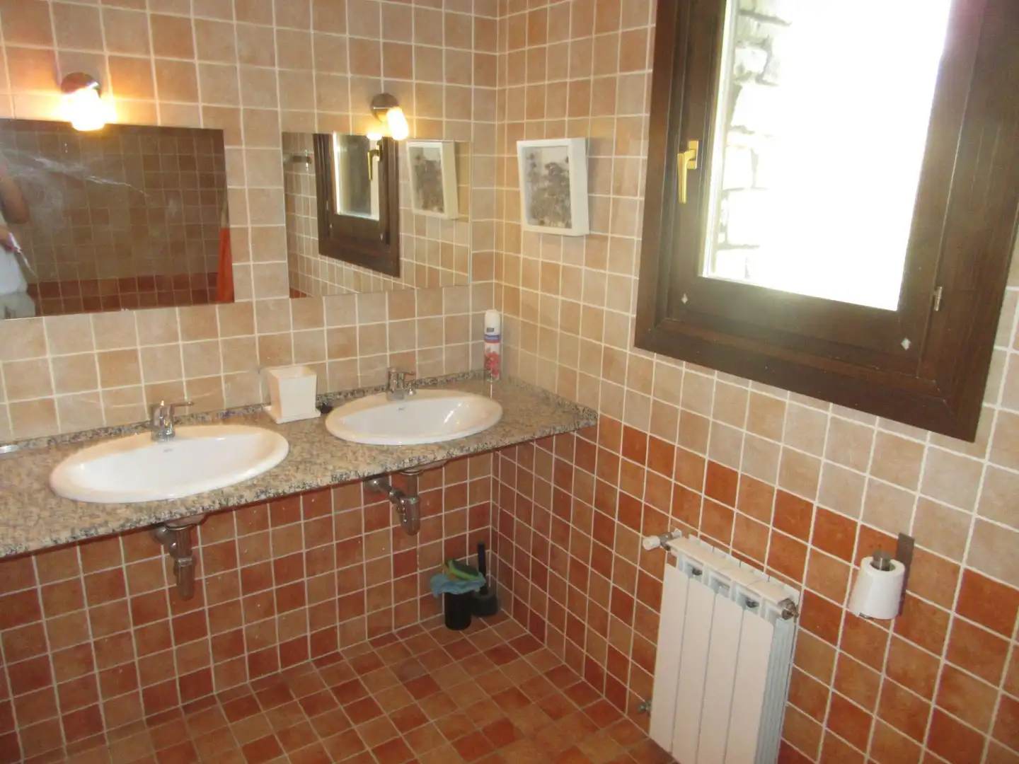 Bathroom of Houses for sale in Castiello de Jaca  with Heating, Private garden and Storage room
