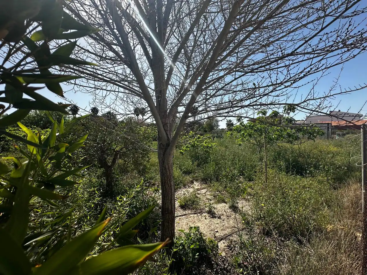 Terreny residencial en venda a Avenida de Almoradí 11, imagen 3