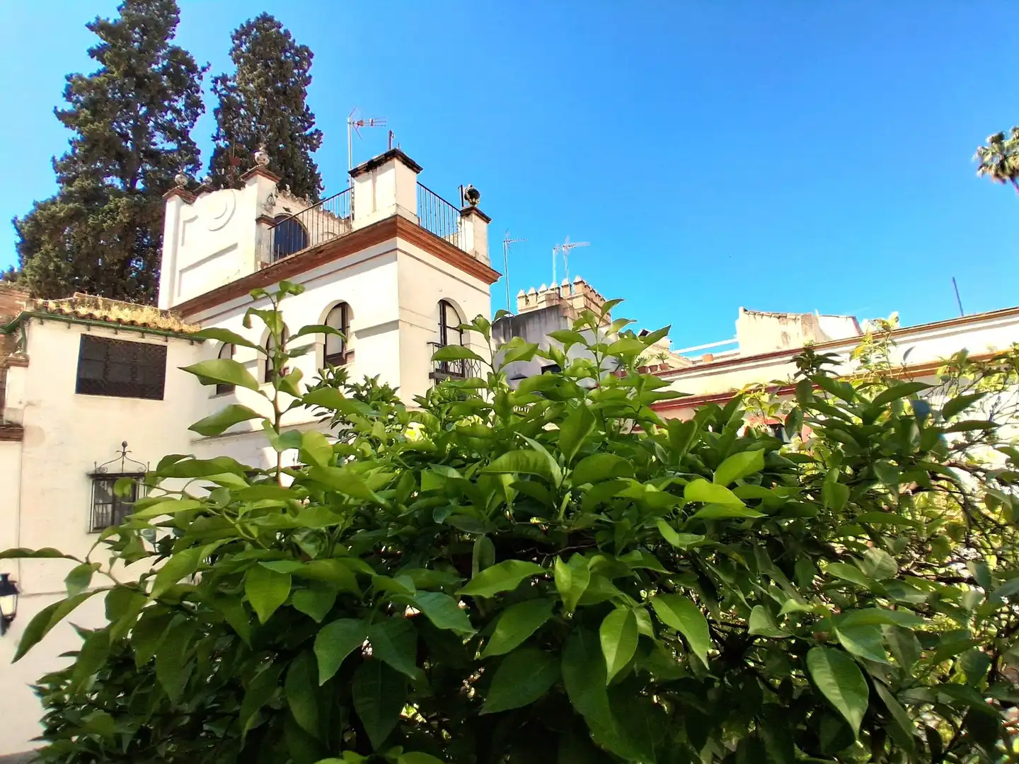Jardí de Pis en venda en Sevilla amb Aire condicionat, Calefacció i Parquet