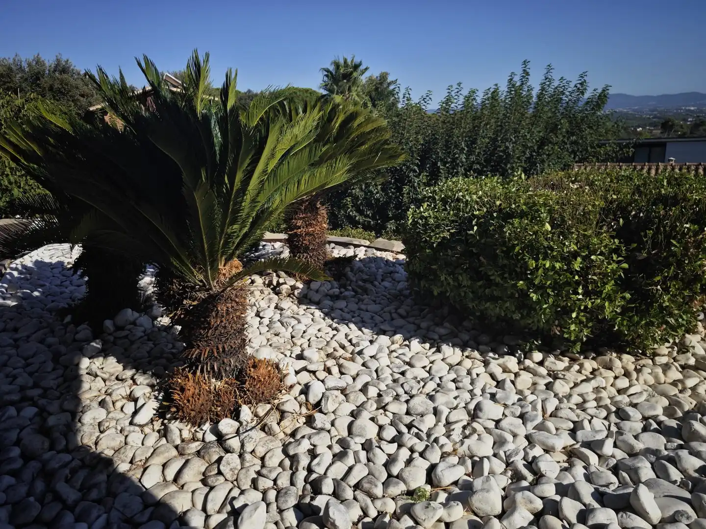 Casa amb piscina en venda a GRIVA, imagen 8