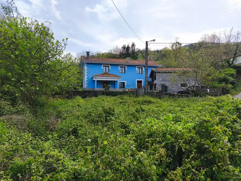 Vista exterior de Casa o chalet en venta en Salas con Amueblado