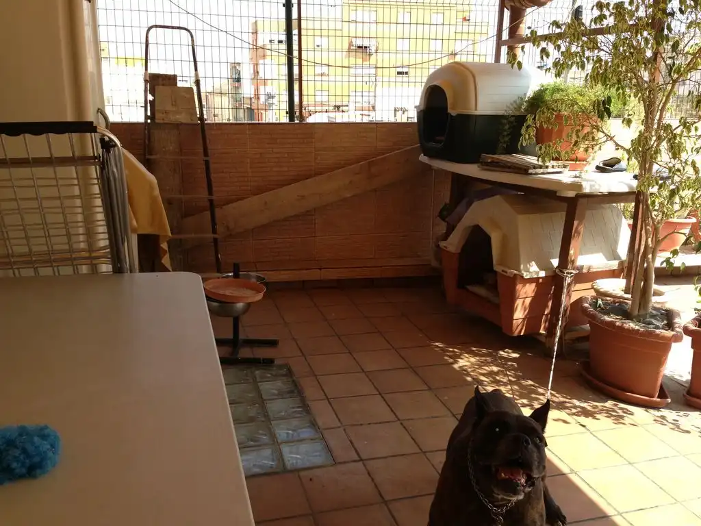 Casa en venda a Puerto de Sagunto, imagen 28