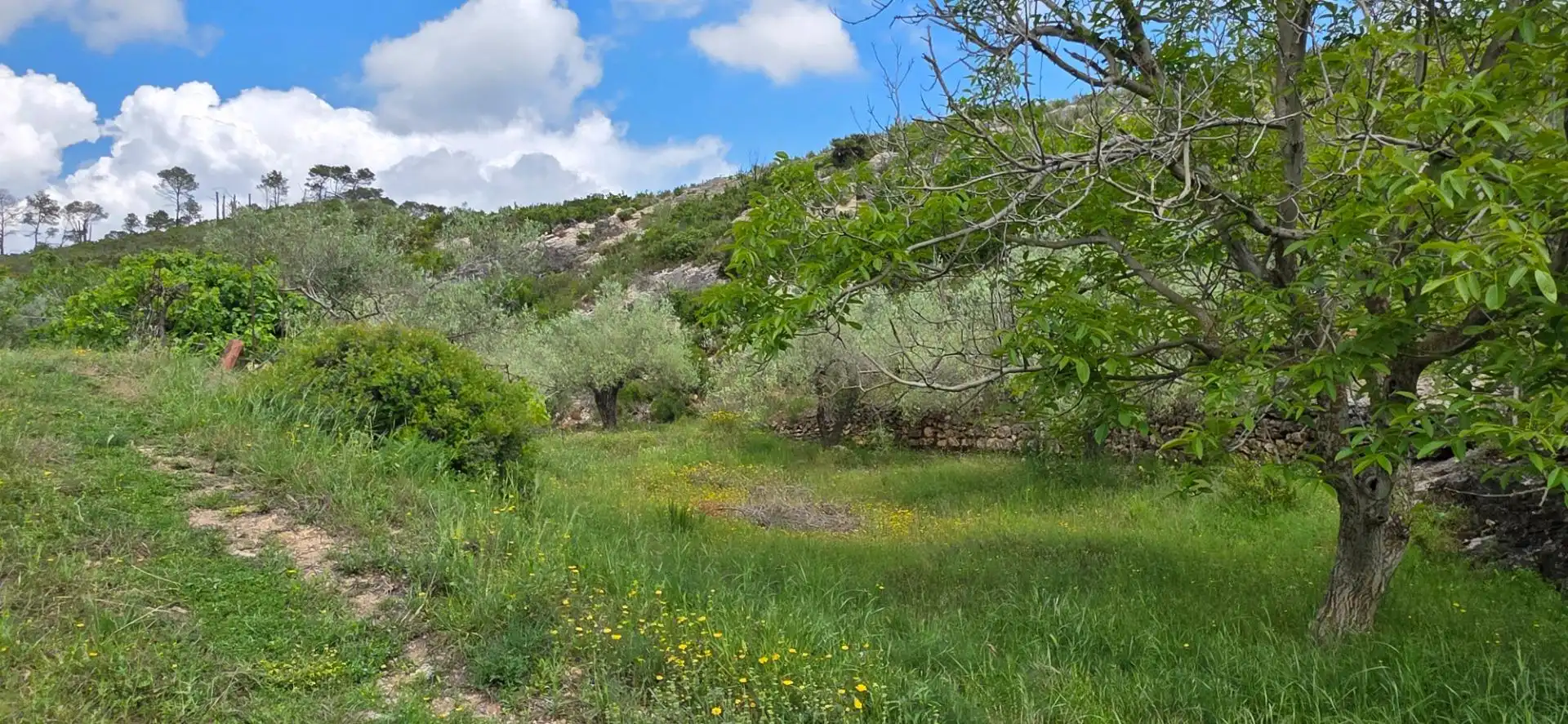Country house for sale in El Perelló, imagen 3