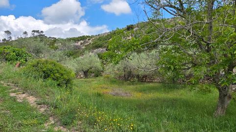 Photo 3 of Country homes for sale in El Perelló, Tarragona