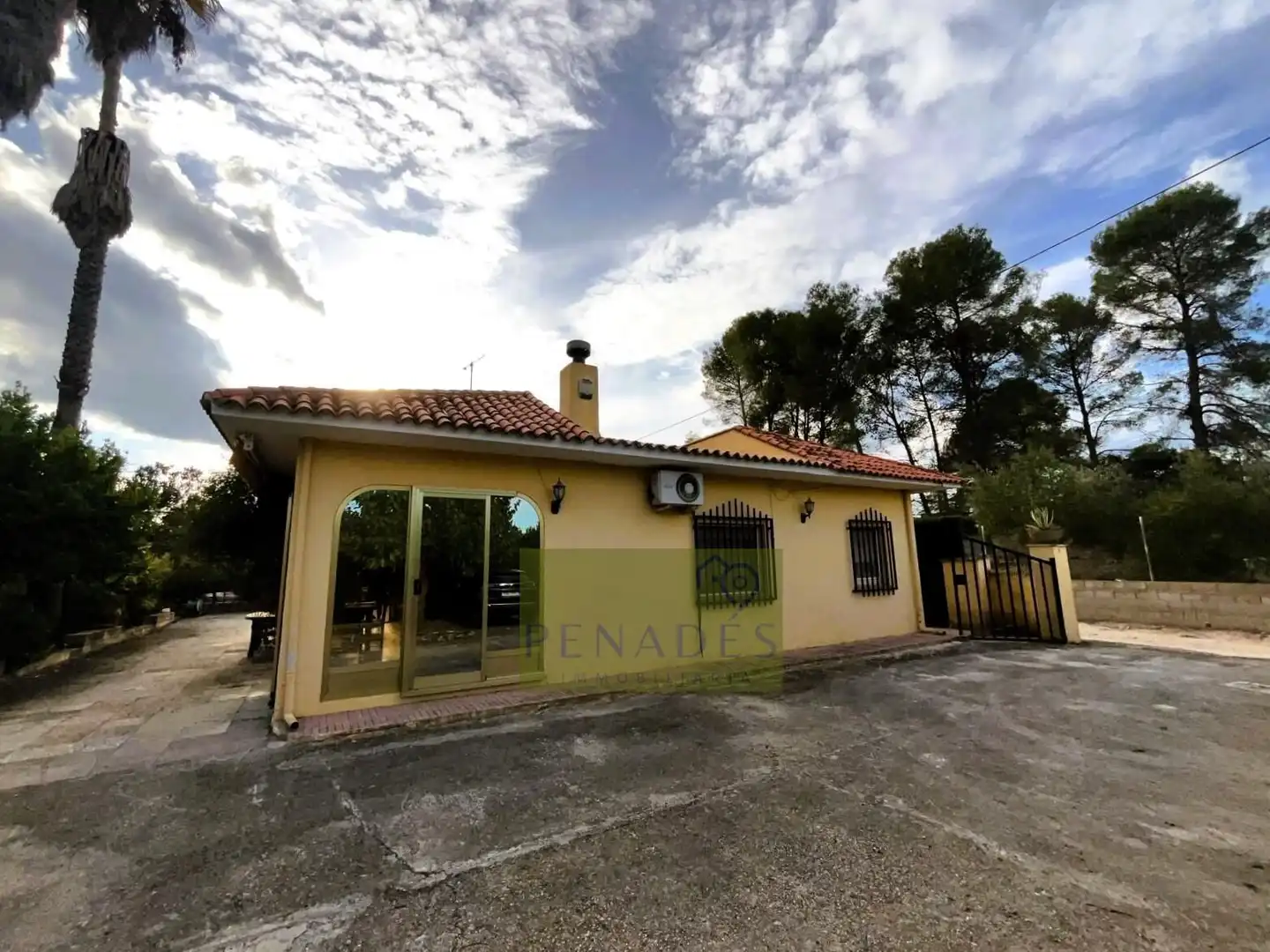 Vista exterior de Casa o chalet en venta en El Pilar 