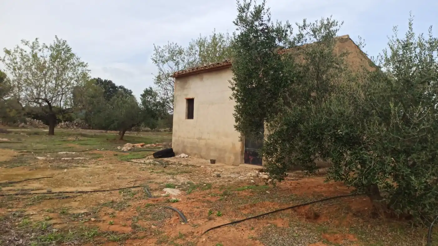 Rustikales Grundstück zum Verkauf in poligono 3 parcela 235, imagen 4