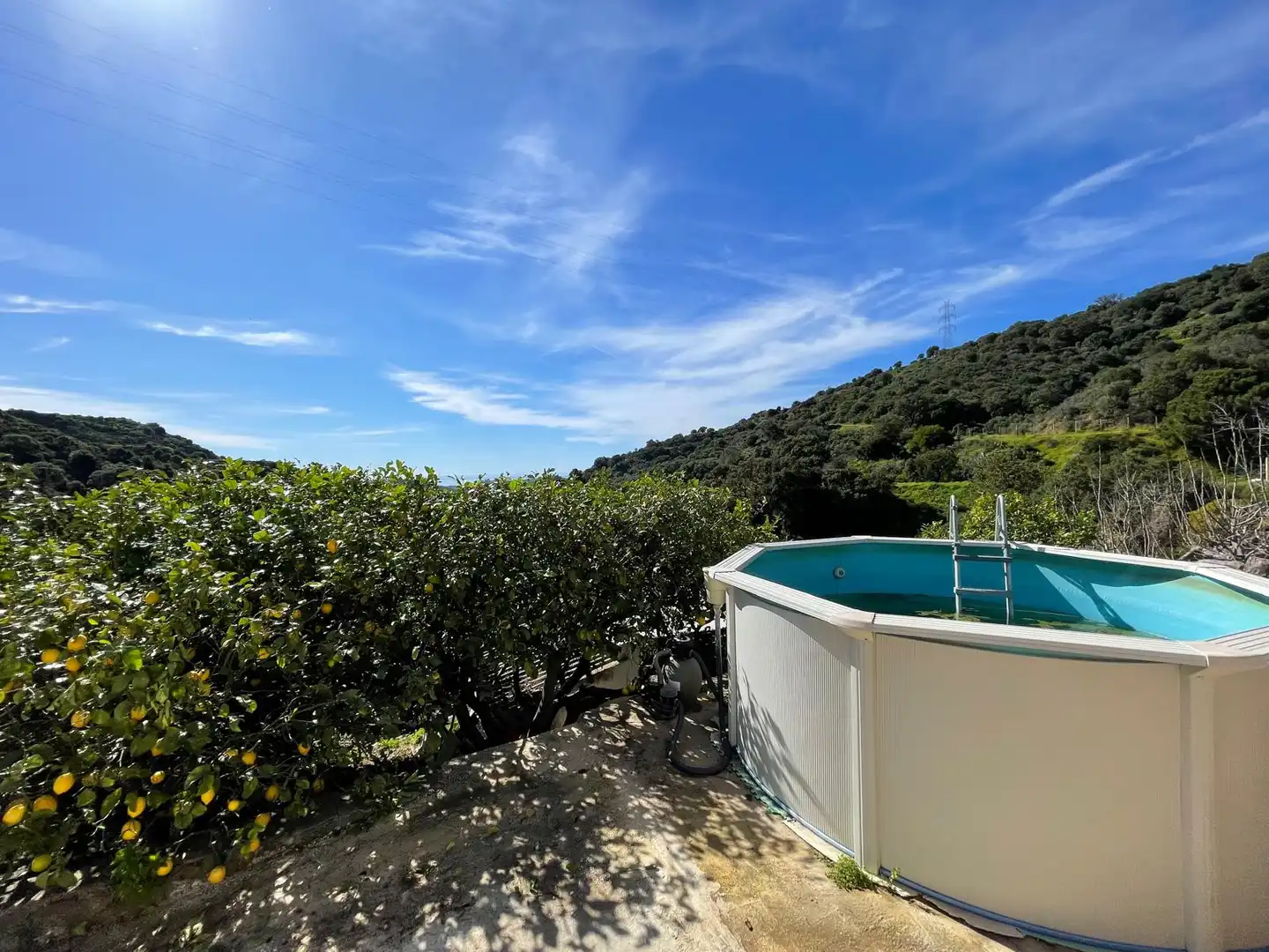 Finca rústica en venta en Altos de Estepona