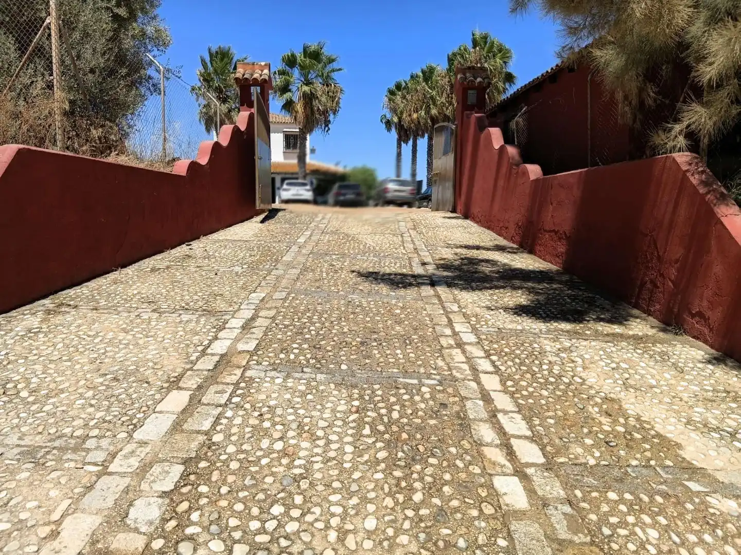 Vista exterior de Finca rústica en venda en Moguer, Huelva