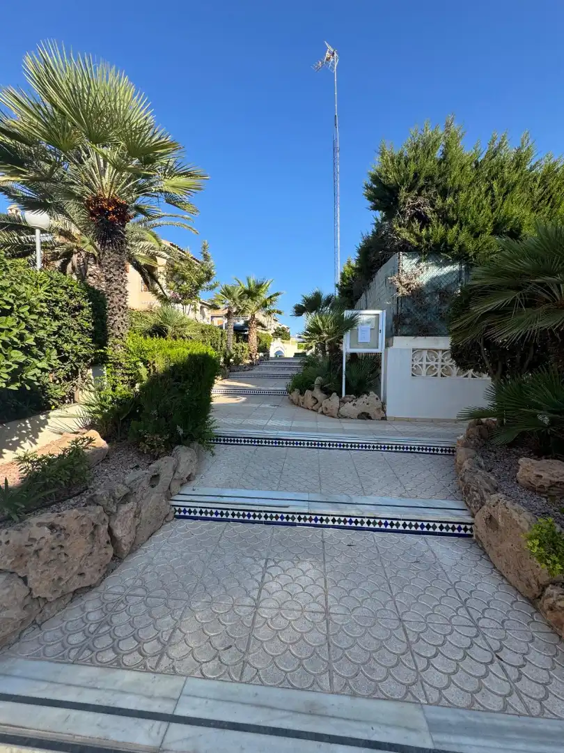 Vista exterior de Casa o chalet en venta en Torrevieja con Jardín privado, Terraza y Trastero