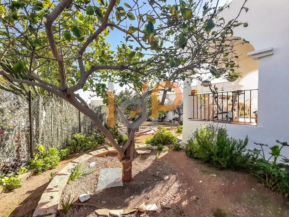 Haus mit Terrasse zum Verkauf in El Palmeral, imagen 41