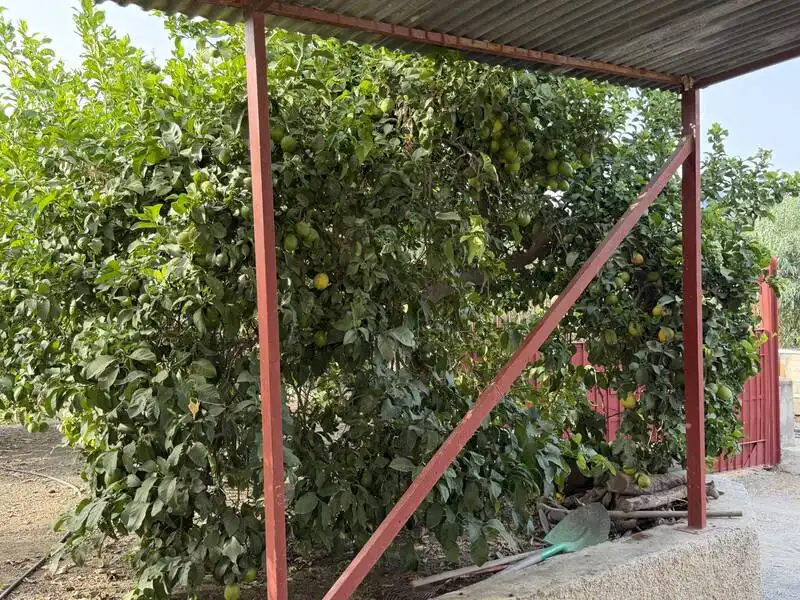 Casa o xalet en venda en Benamocarra amb Jardí privat i Moblat