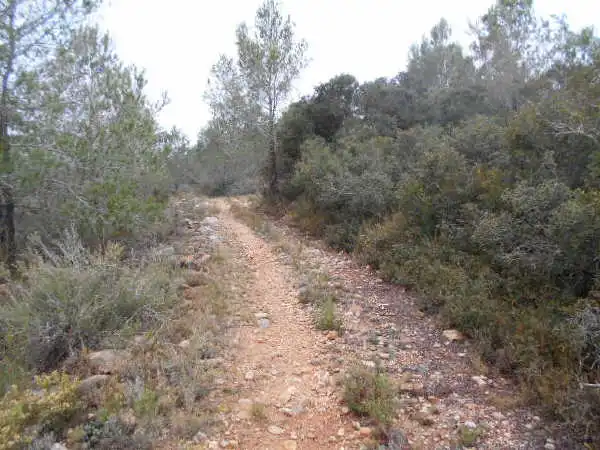 Rural land for sale in Ptda San Miguel, Timba y Palillo, imagen 8