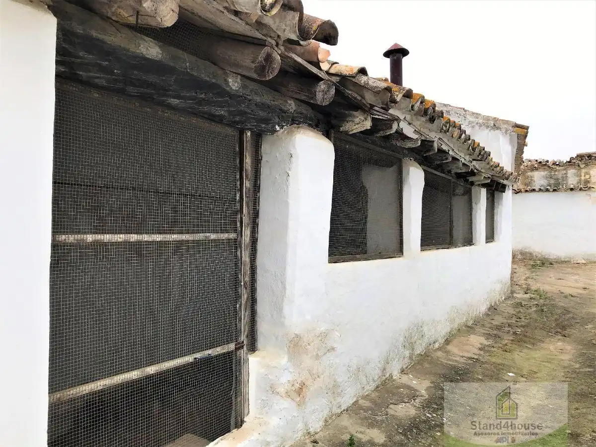 House with terrace for sale in Manzanilla, imagen 46