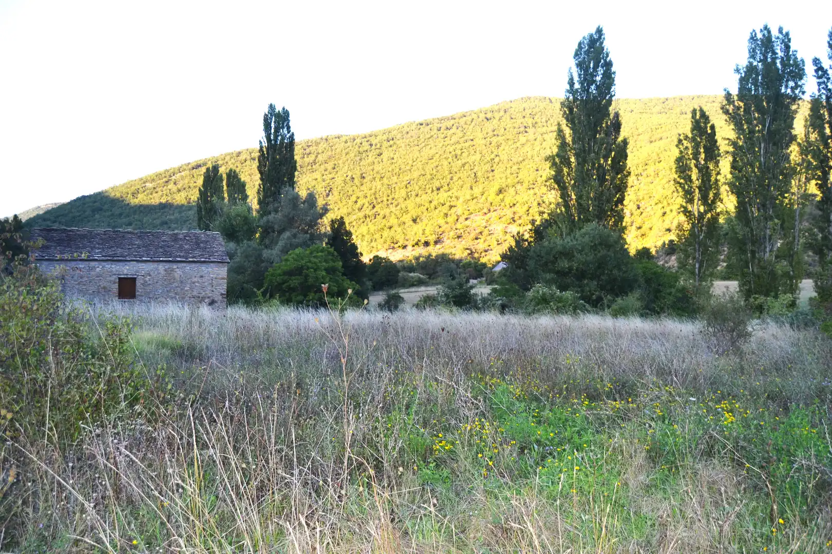 Casa o chalet en venta en Santa Cruz de la Serós con Jardín privado y Parquet