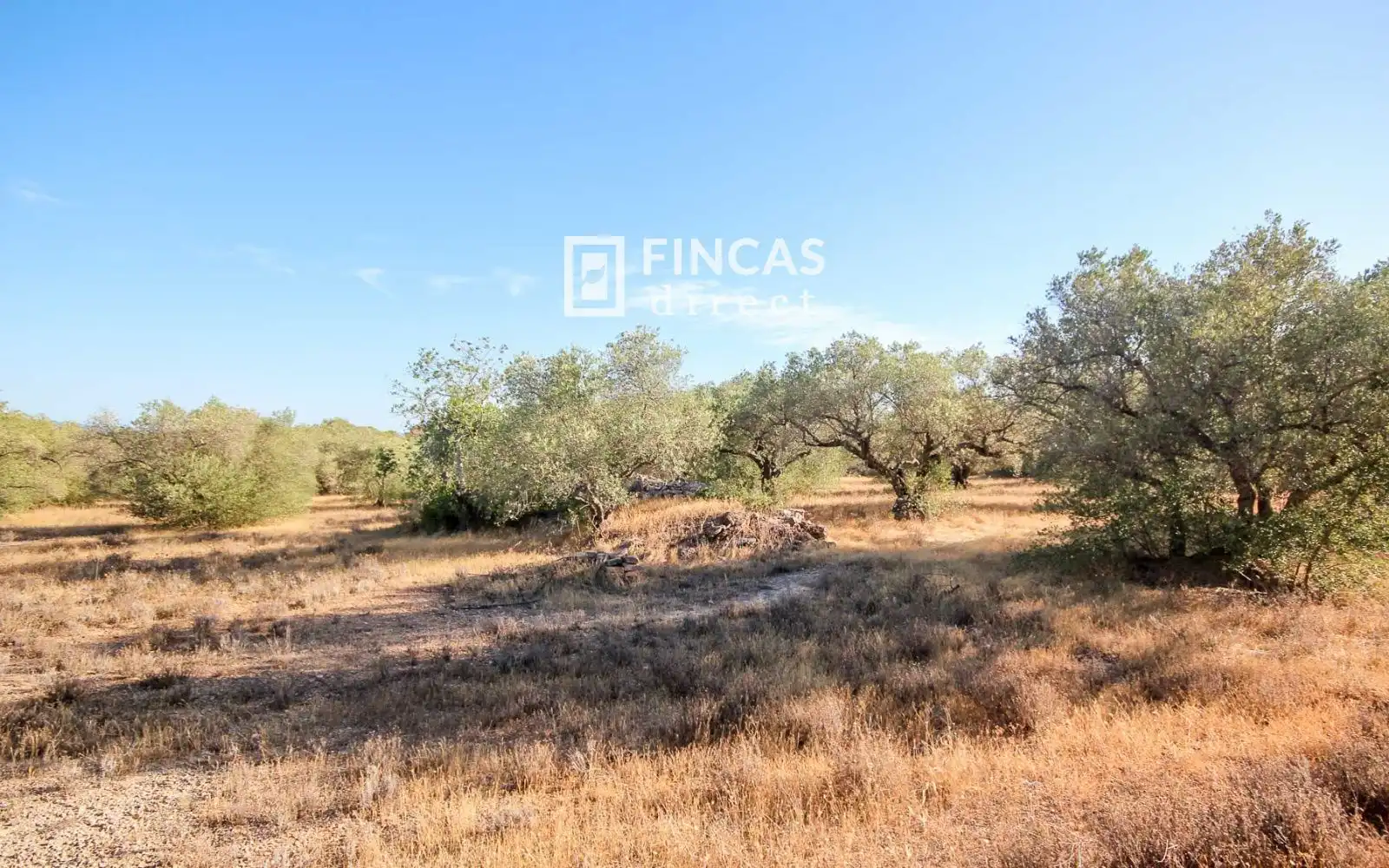 Country homes for sale in Xerta