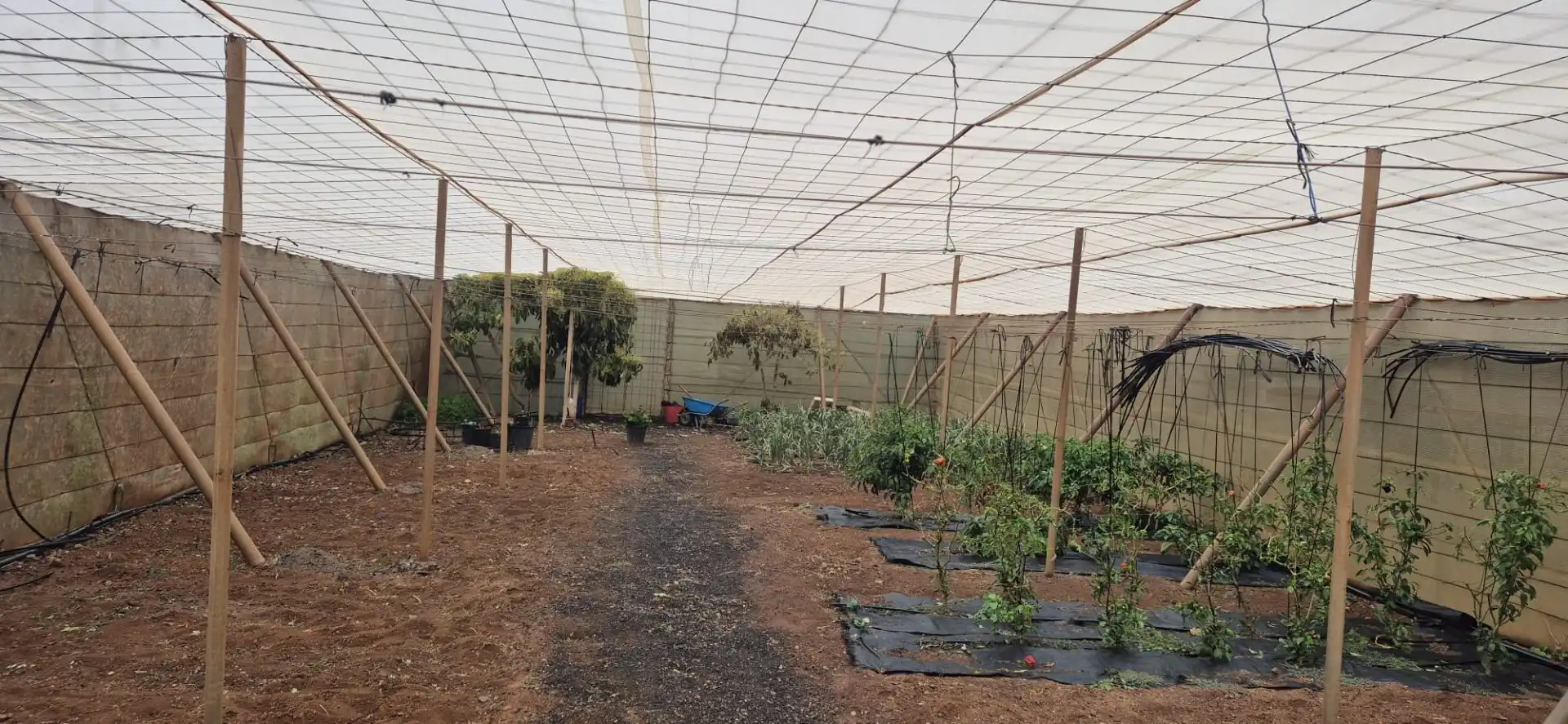 Jardín de Terreno en venta en Antigua