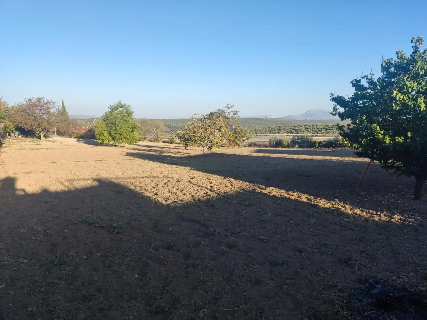 Terreni e lotti in vendita a Mengíbar, imagen 8