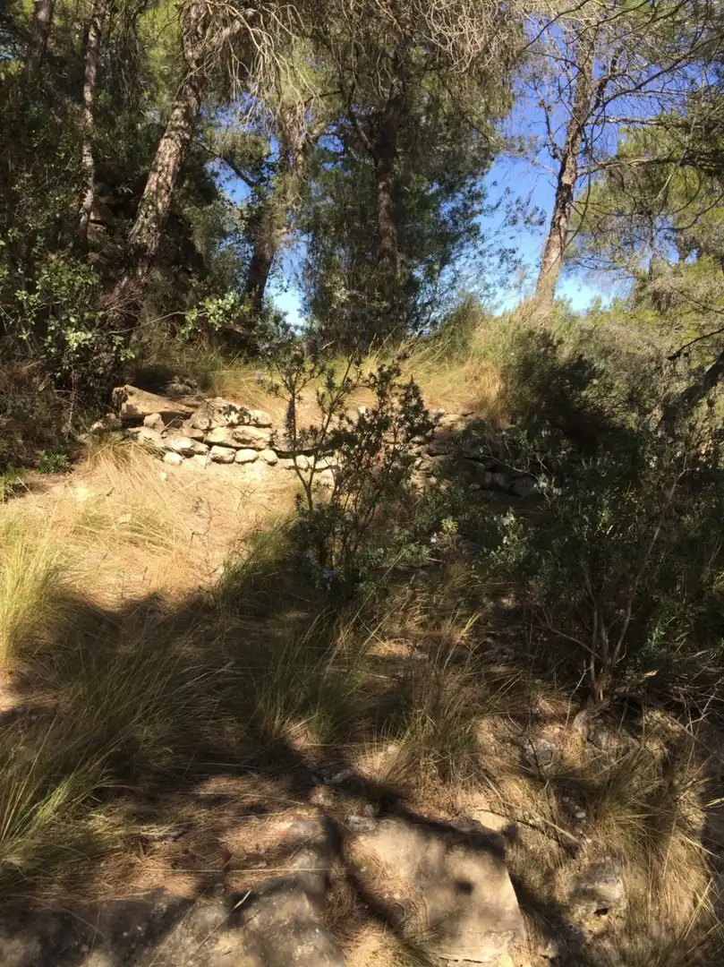 Terrenos y solares en venta en Monistrol de Montserrat, imagen 9