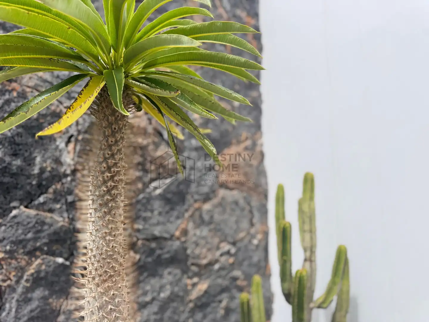 Casa con jardín en venta en Del Morro, imagen 59