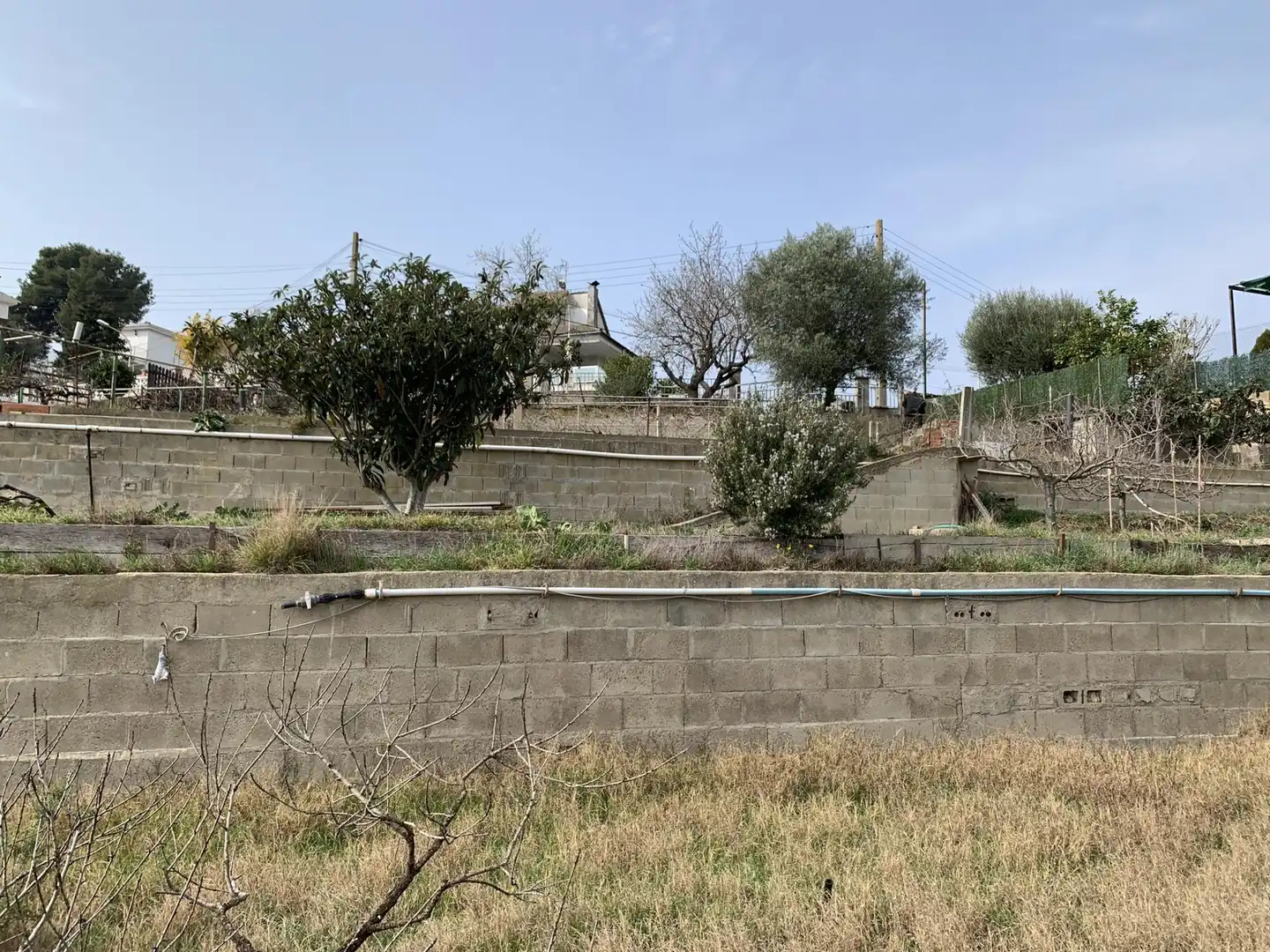 Terrenos y solares en venta en Calle SANTA LAURA, imagen 25
