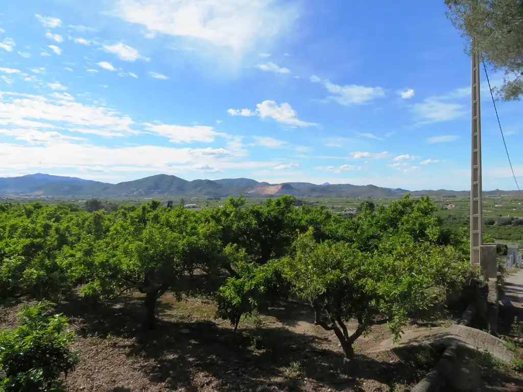 Country house with garden for sale in Pego, imagen 14