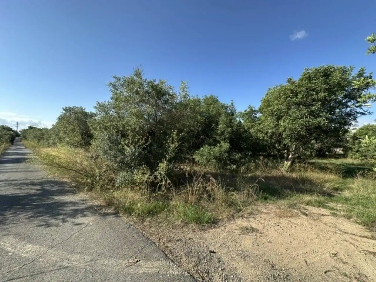 Rustikales Grundstück zum Verkauf in Barenys, imagen 7