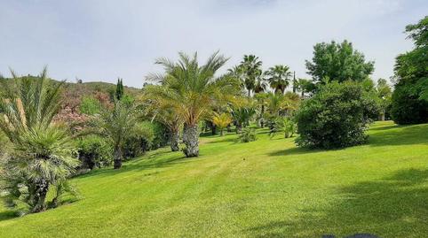 Foto 5 de Finca rústica en venta en Zona Centro,  Córdoba Capital