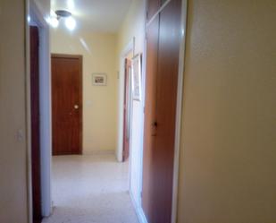 Flat to rent in Fuente Álamo de Murcia  with Air Conditioner, Terrace and Furnished