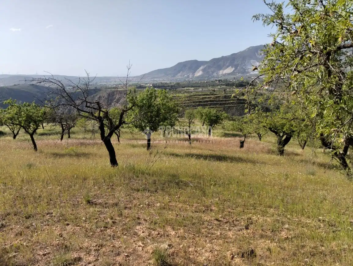 Rural land for sale in Dúrcal, imagen 19