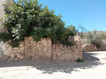 Terreny residencial en venda a Calle del Pino 8