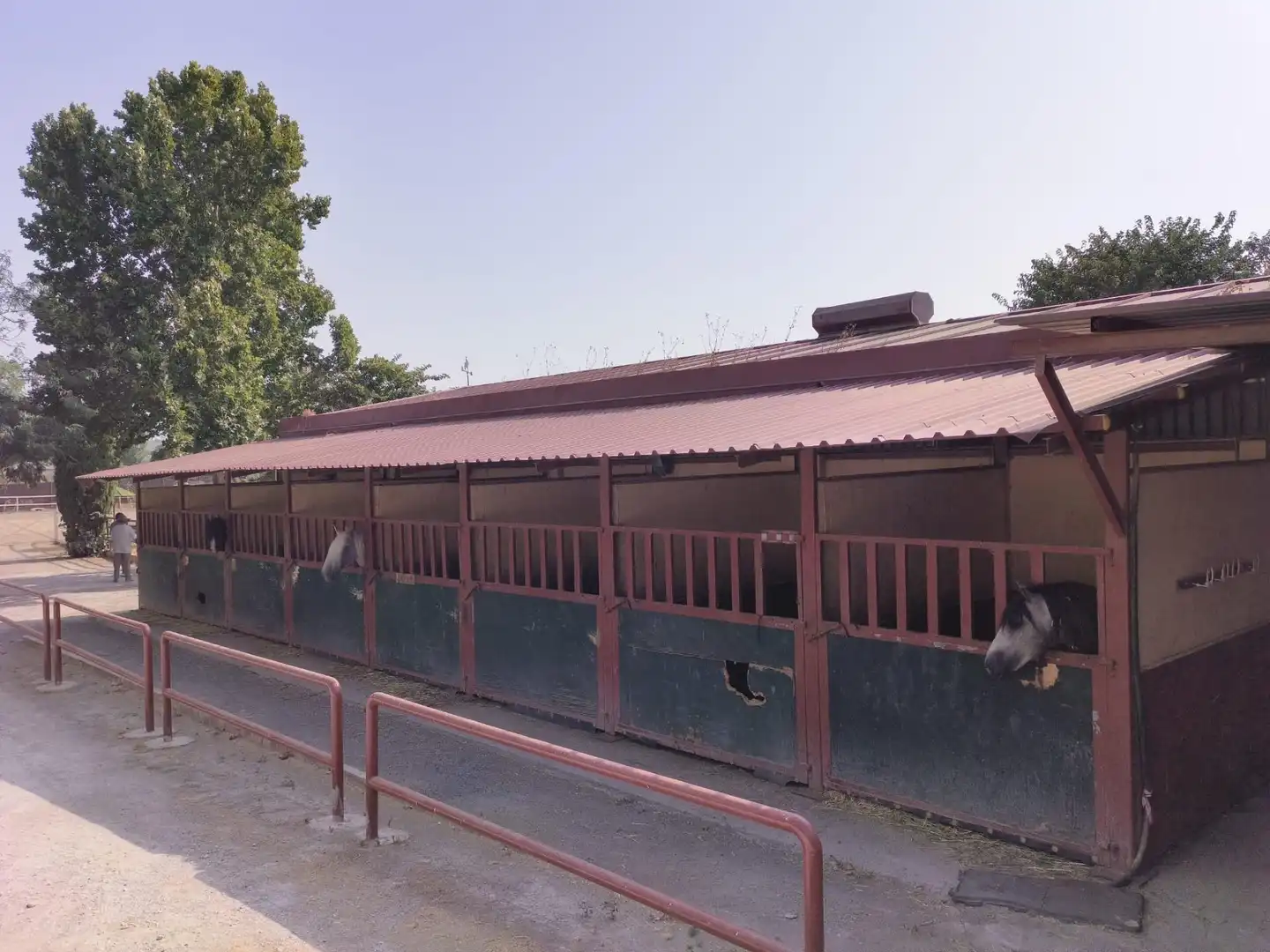 Casa rustica con giardino in vendita a La Zubia Ciudad, imagen 4
