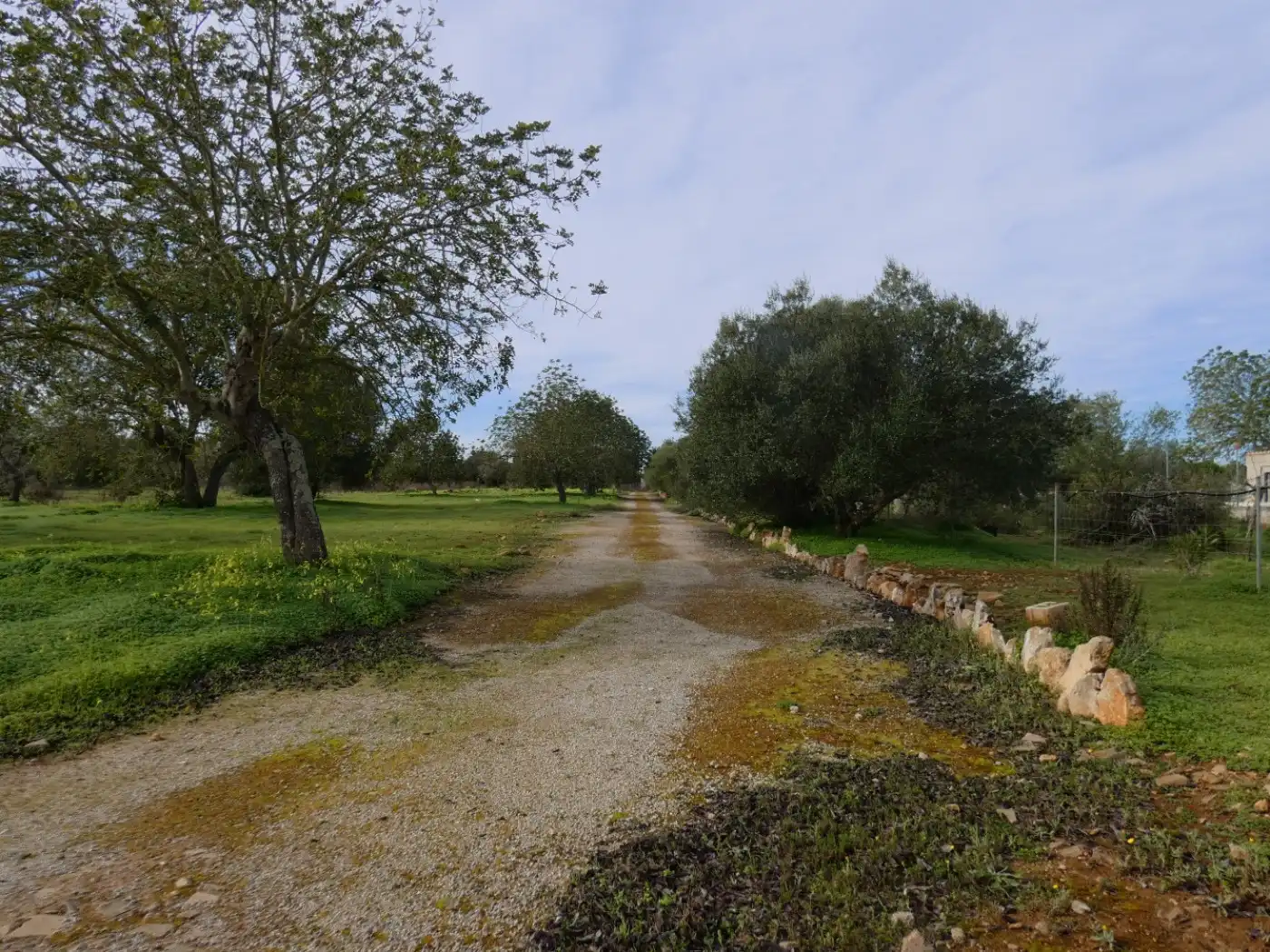 Casa o chalet en venta en Porreres