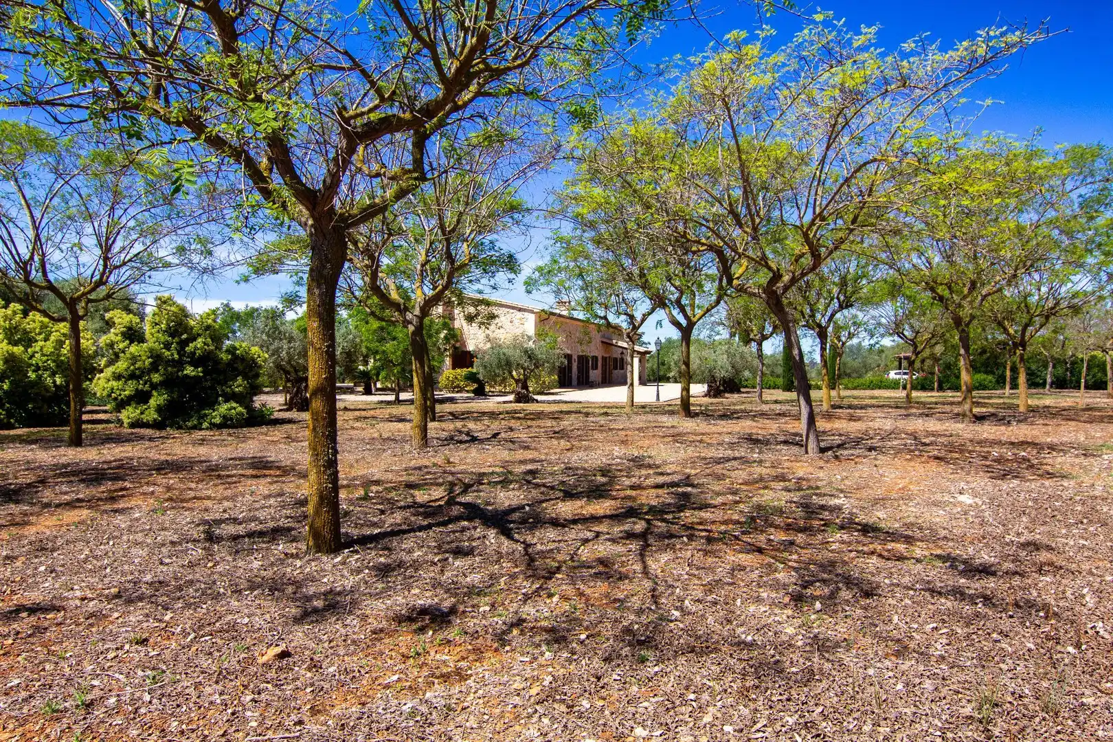 Casa rústica con piscina en venta en Polígono 8, parcela 441, imagen 8