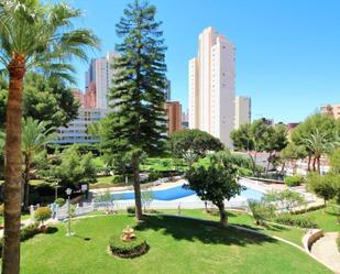 Bedroom of Study for sale in Benidorm  with Private garden and Community pool